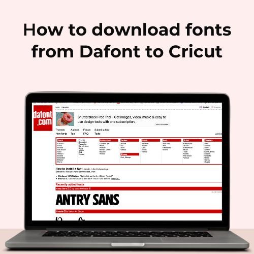 how to get fonts on dafont