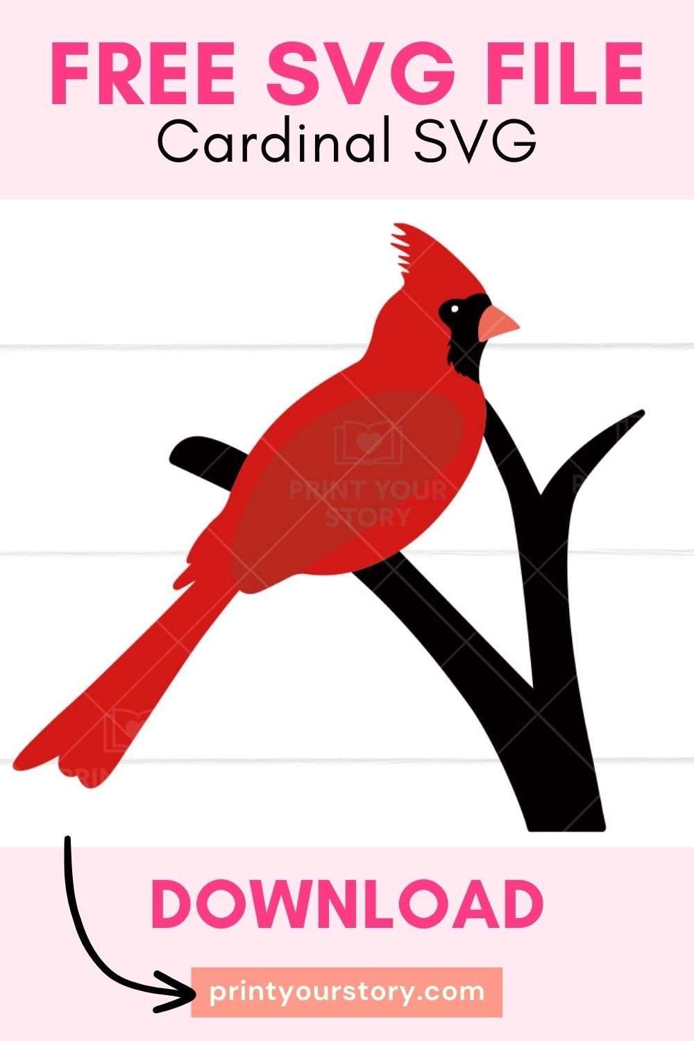 Free Cardinal SVG file for Cricut - Personal Use