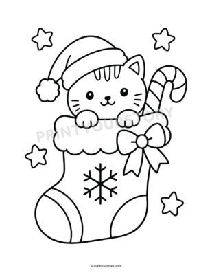 Cat in a Christmas stocking wearing a Santa hat, with stars and a snowflake coloring page